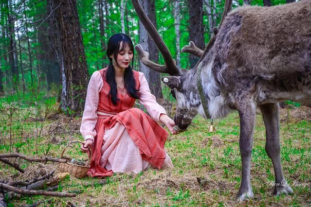 精灵村的流浪之旅，女性精灵村的奇幻世界-流浪到只有女性的精灵村，一个超越现实的游戏故事