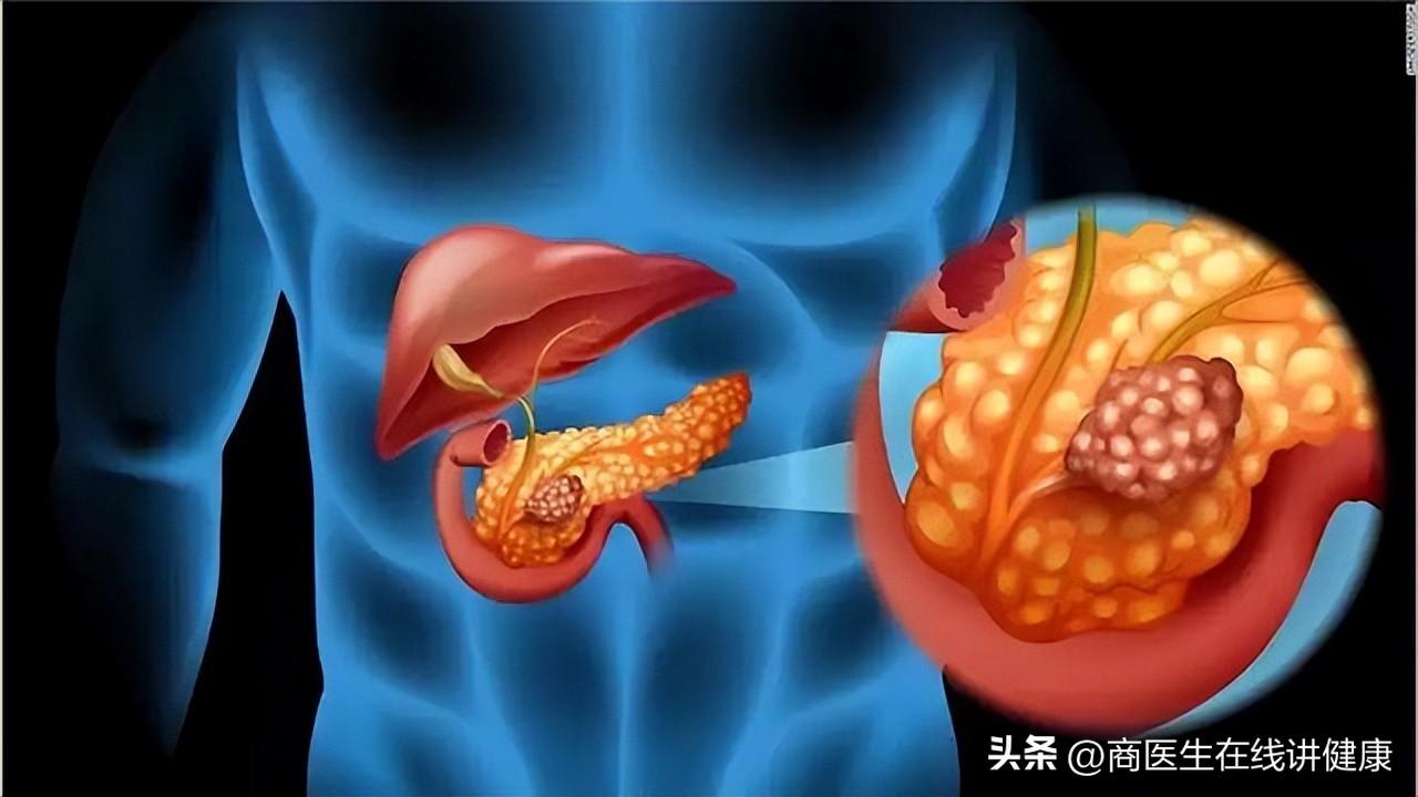 52辅助官方——引领科技新篇章-  第3张