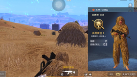 透视PUBG透视自瞄辅助器的真相与法律问题-游戏体验，Pubg透视自瞄辅助器的深度解析  第1张