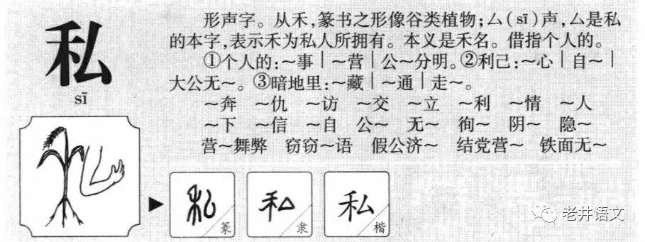 私は是一个常用的日语词汇，意为我、我本人。在文章中，您可以探讨以下关键词的含义和用法，-  第2张